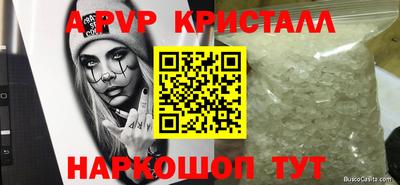 спиды Камышлов