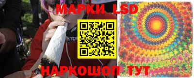 PSILOCYBIN Кандалакша