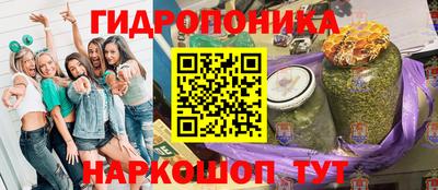 спиды Камышлов