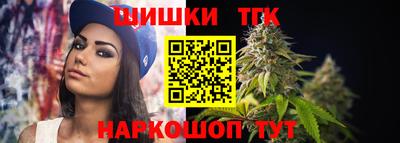 спиды Камышлов