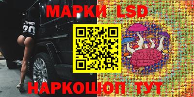 PSILOCYBIN Кандалакша