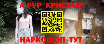спиды Камышлов