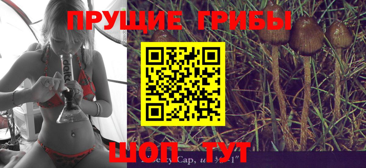 Псилоцибиновые грибы Psilocybe  Галлюциногенные грибы прущие грибы  Вход с VPN  Костомукша 