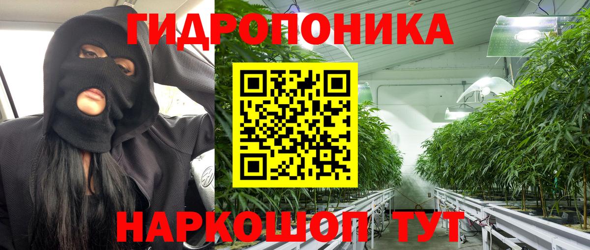 Бошки Шишки марихуана  Канабис MAZAR  Костомукша  Шишки марихуана тримм  Вход с VPN 